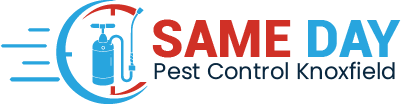 Same Day Pest Control Knoxfield